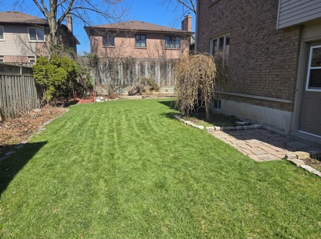 Property Management Cleanout Services