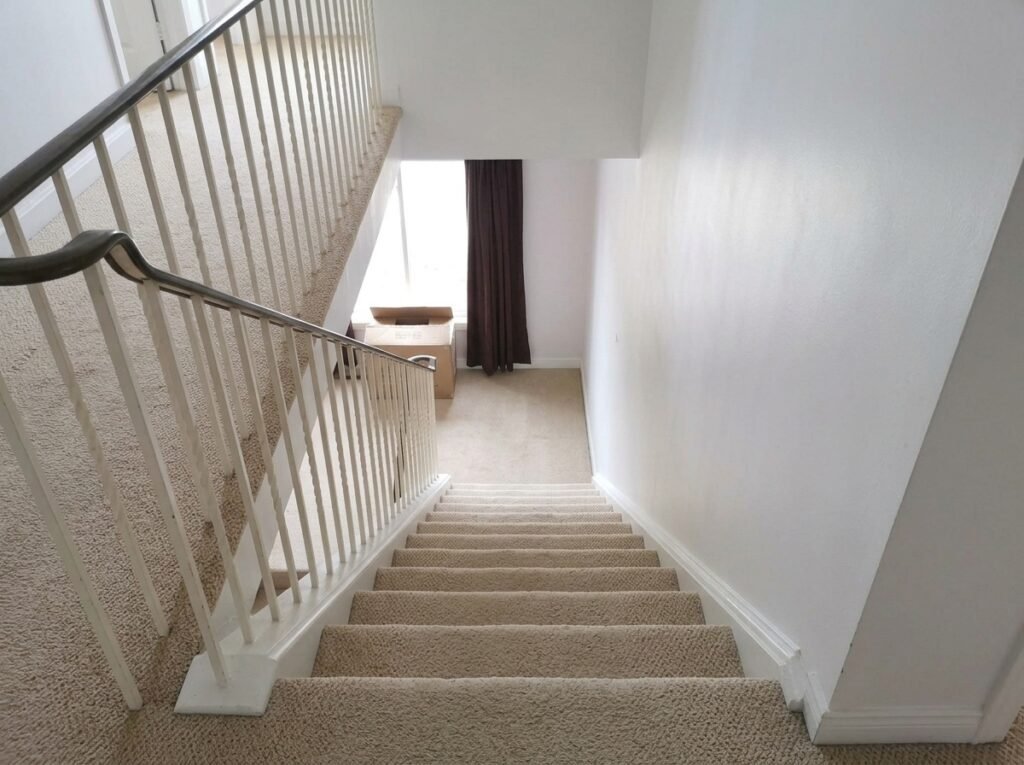 Safe Removal Services after