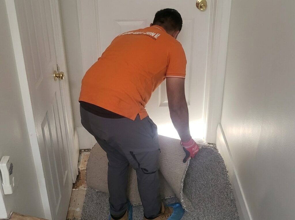 basement-cleanout-services