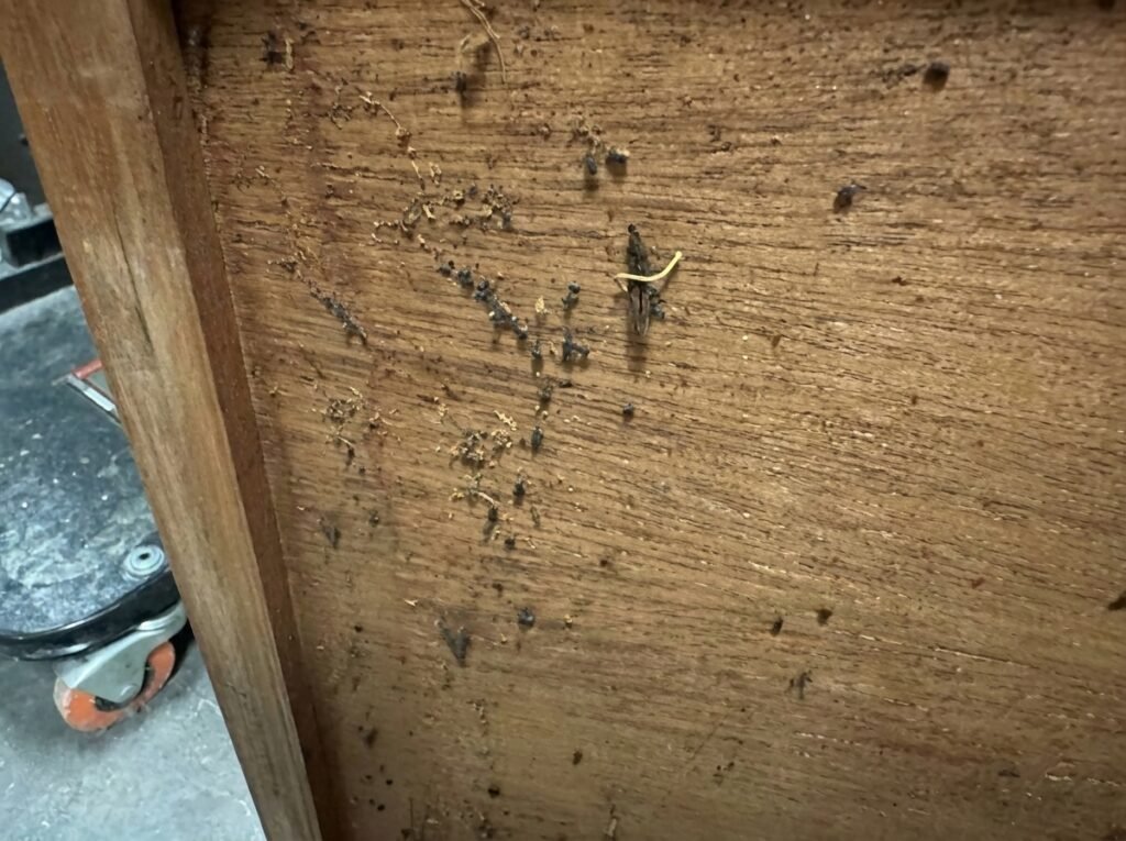 bed-bug-furniture-removal-services_before