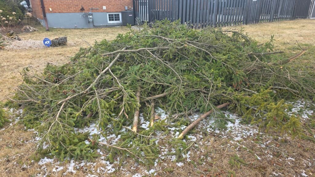 sod-removal-services before 2