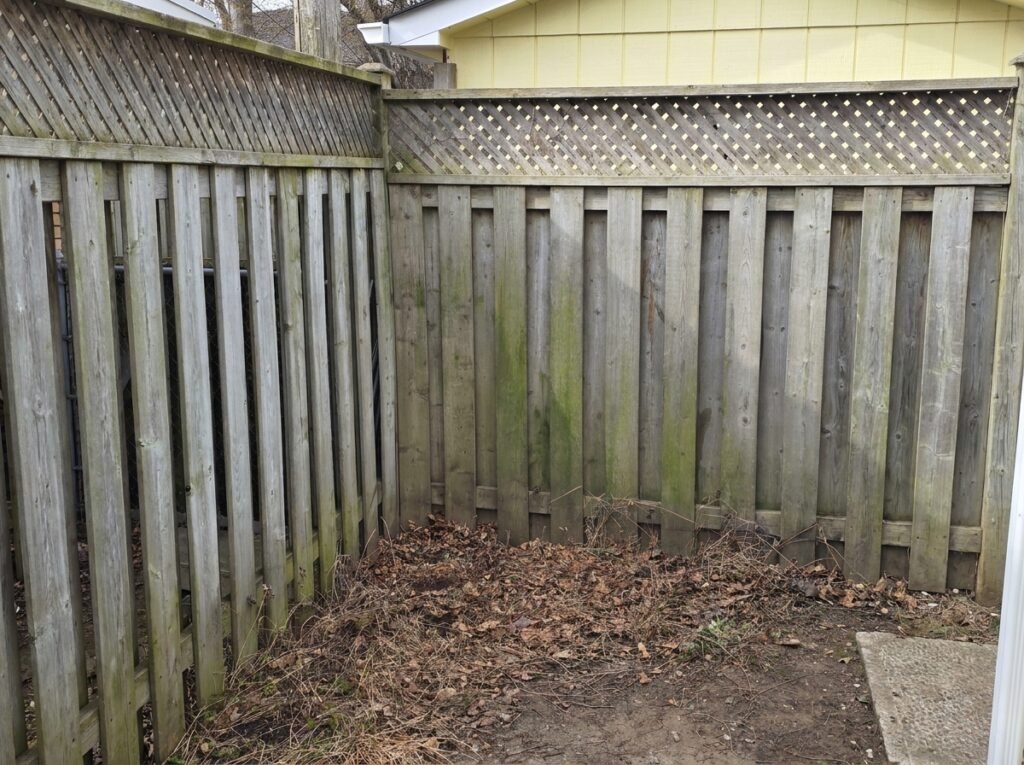dirt-removal-services-before