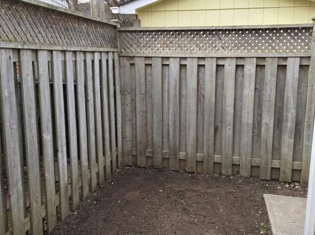 dirt-removal-services-after