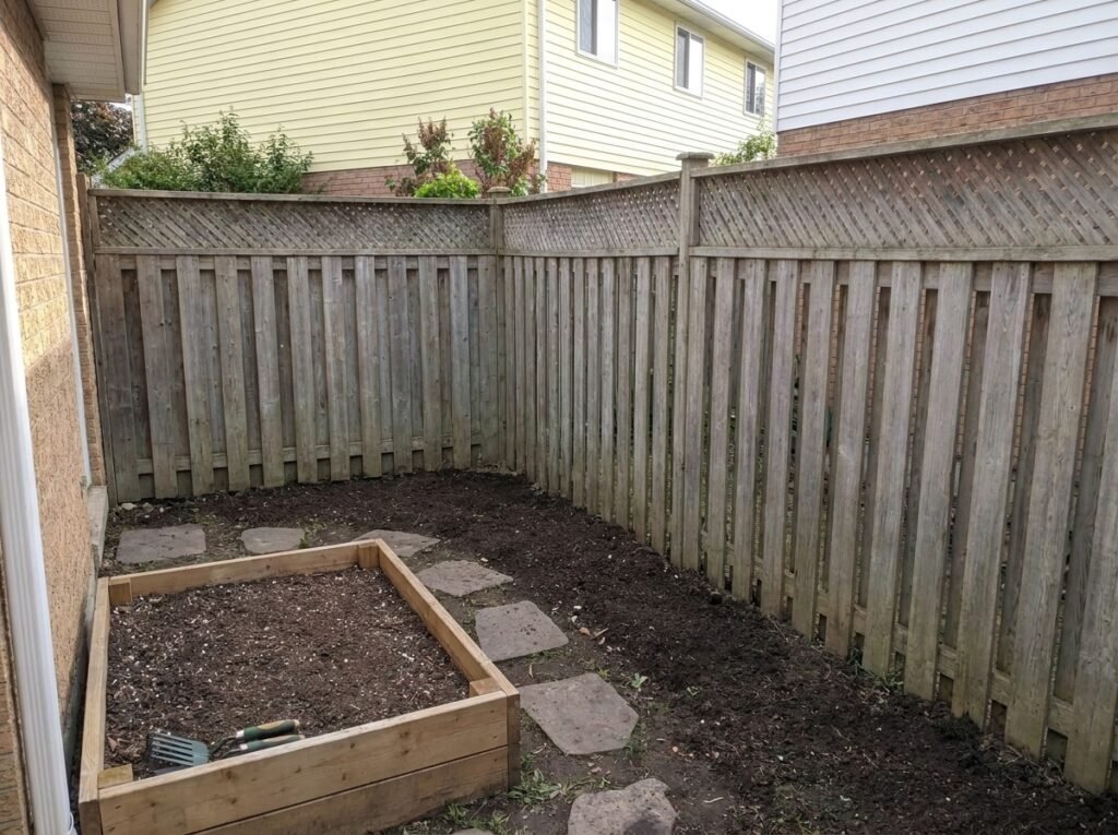 dirt-removal-services