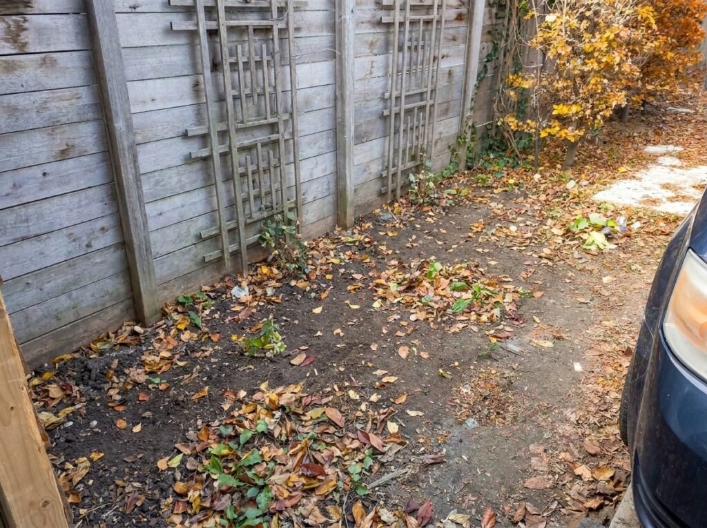 residential-junk-removal-services_after
