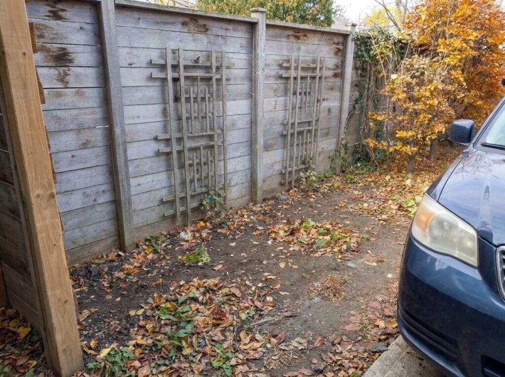 residential-junk-removal-services