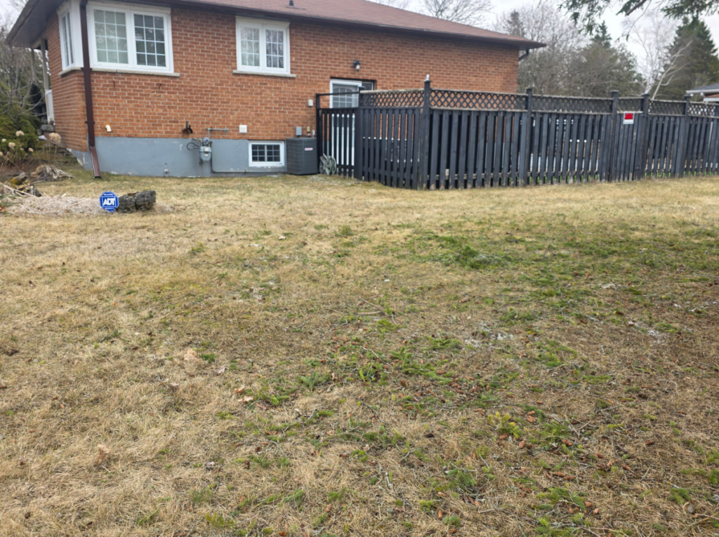 brush removal services after
