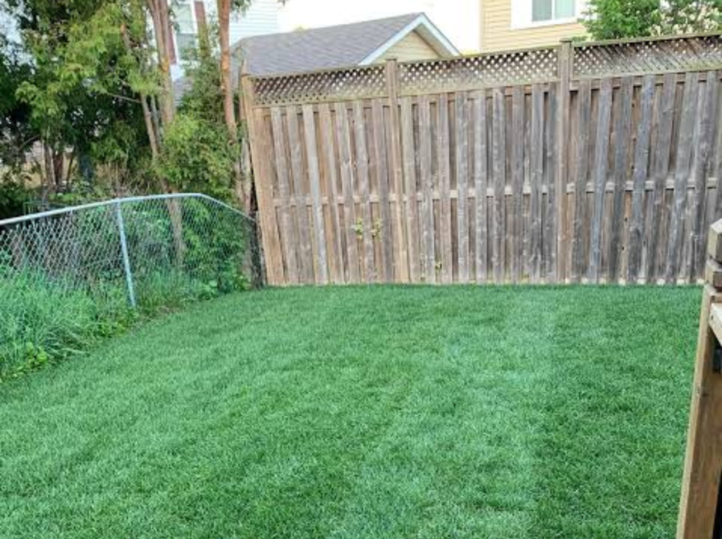 sod-removal-services before
