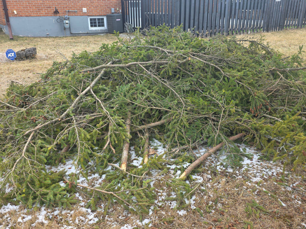 brush removal services before