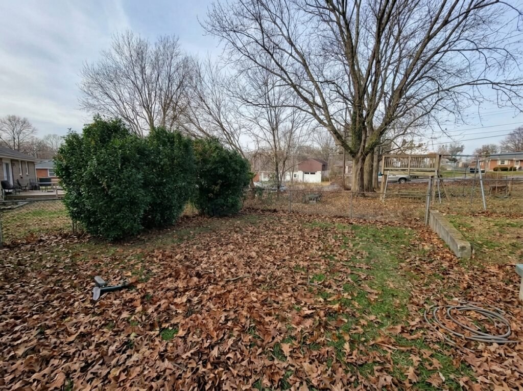 trampoline-removal-services after