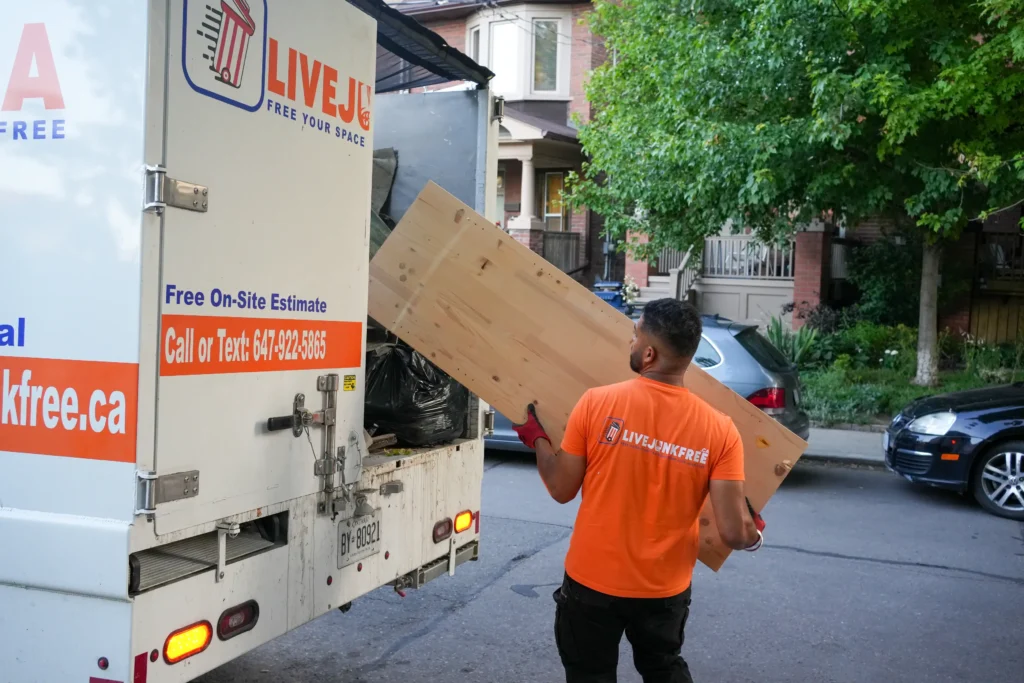 wood removal