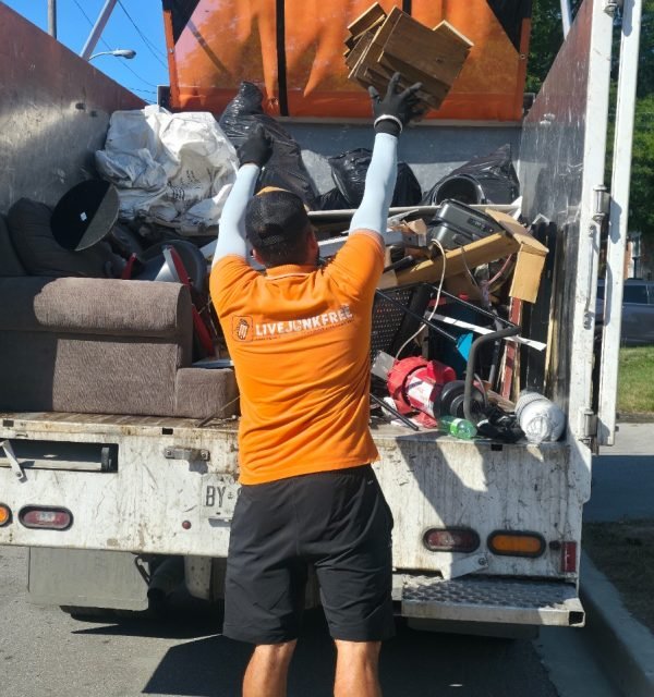 Business Cleanout Services in Georgina from Live Junk Free