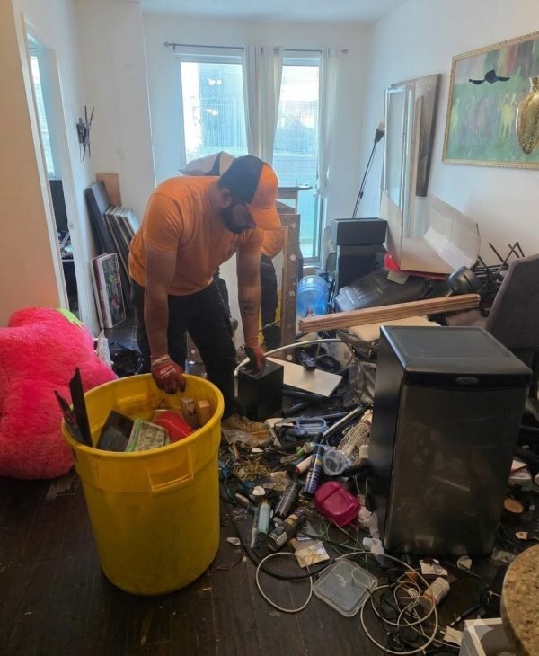 Hoarding Cleanouts in Georgina from Live Junk Free